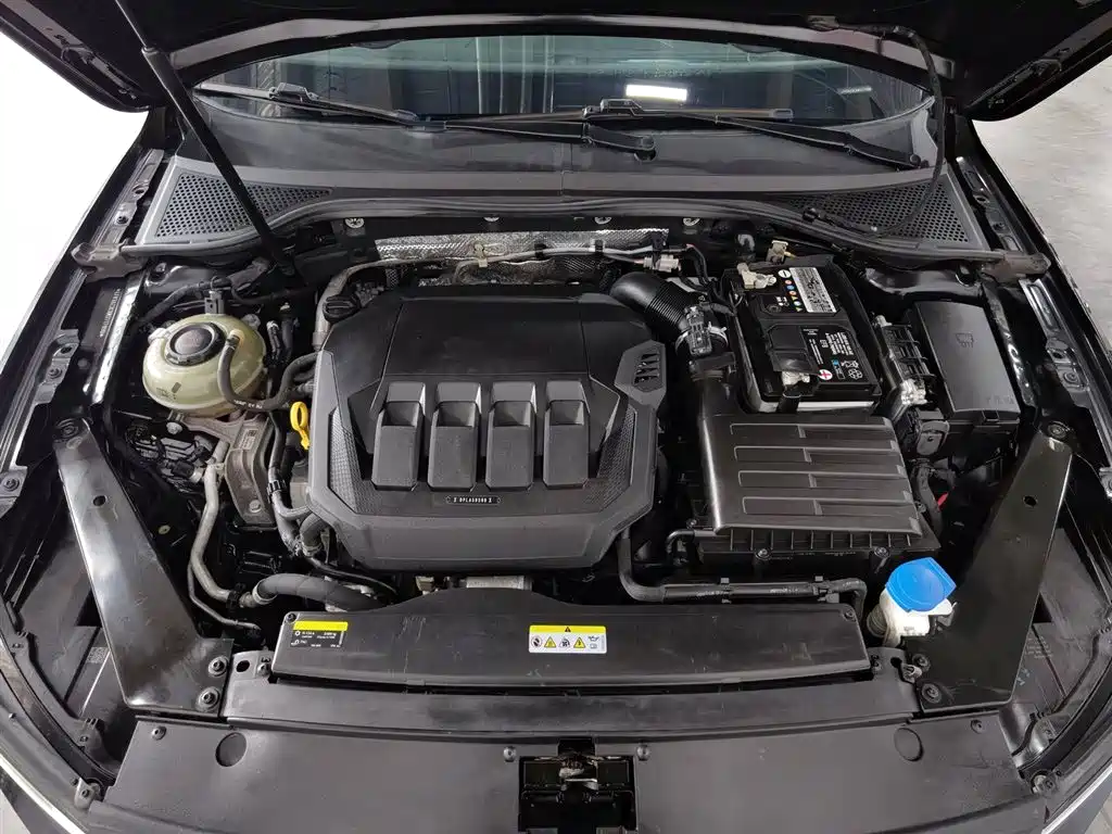 Volkswagen Magotan 2020 330TSI DSG Leading фото 6