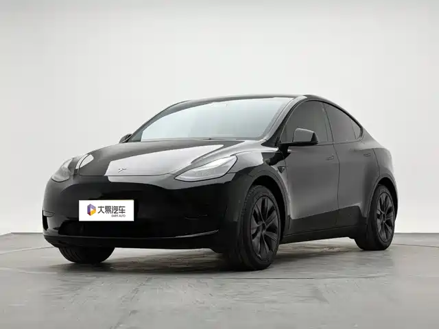 Tesla Model Y Задний привод