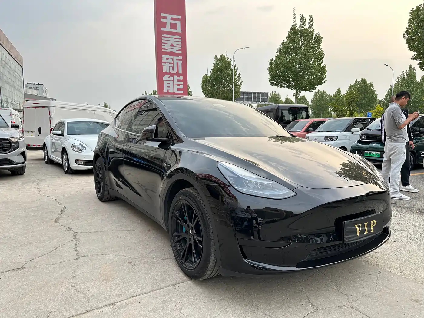 TESLA MODEL Y