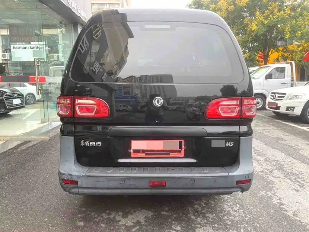 صورة 4 - Dongfeng Fengxing Lingzhi
