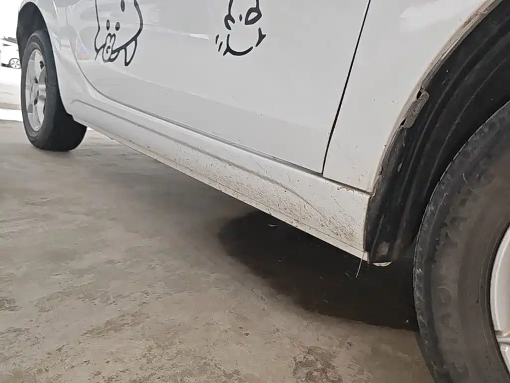 Roewe Kaiwei CLEVER 2023 2022 311km Vitality Bobo Edition