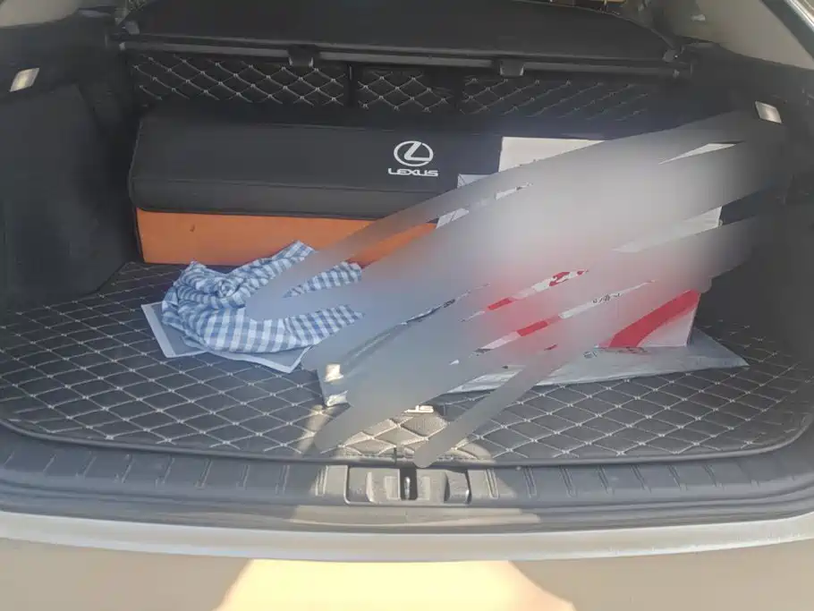 Photo 4 - Lexus RX