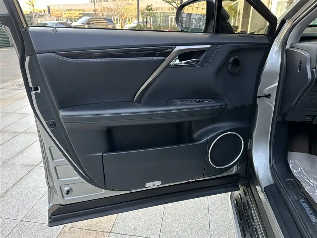 Lexus RX 2020 Facelift 300 2WD Elite Edition фото 22