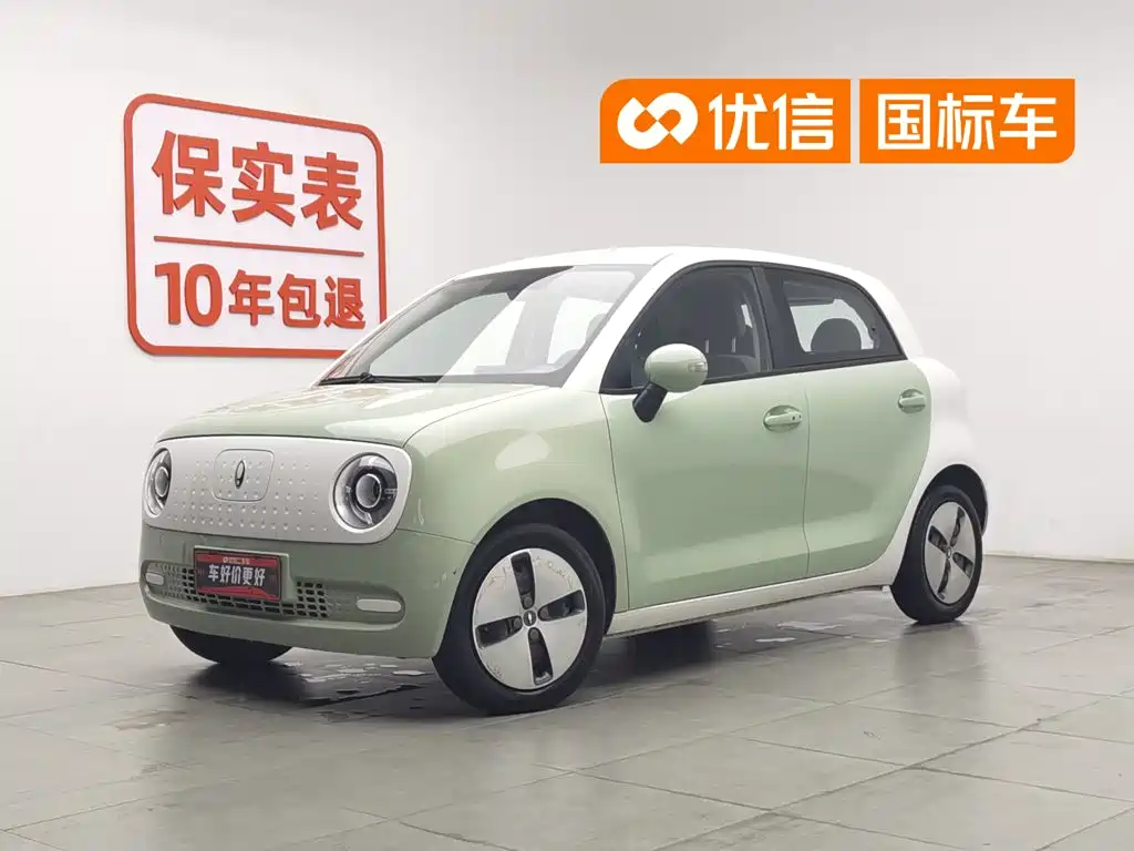 Ora Ora Black Cat 2022 Facelift 301km Pet Edition LFP Version