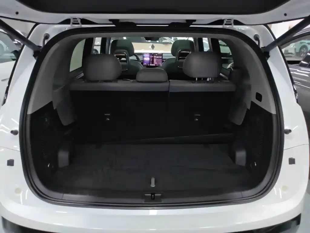 ZEEKR MIX 2026 2025 Smart Driving Edition