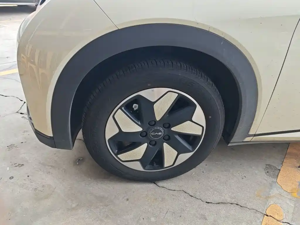 BYD Dolphin 2026 2025 420km Freedom Edition