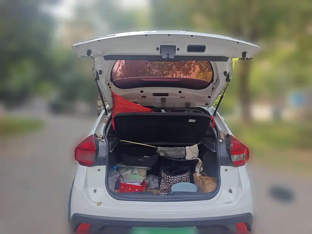 Chery Tiggo 3x 2019 2018 1.5L Manual Elite