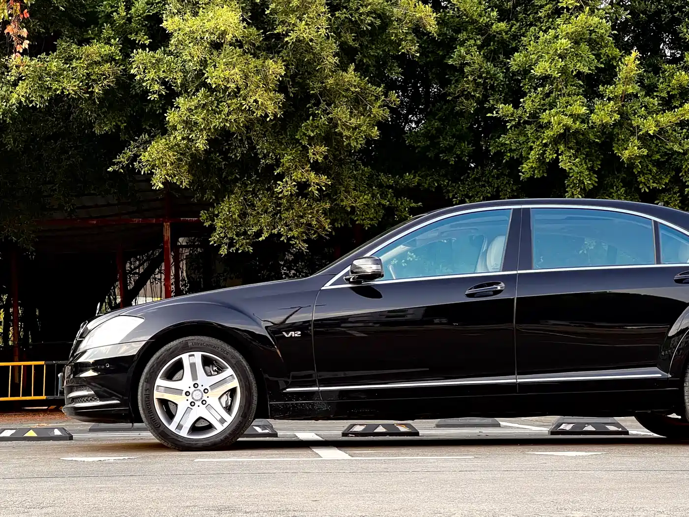 Mercedes-Benz S-Class 2010 S 600 L фото 9