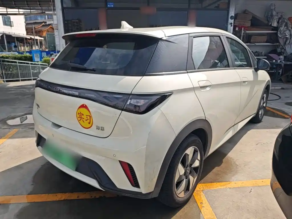 BYD Dolphin 2026 2025 420km Freedom Edition