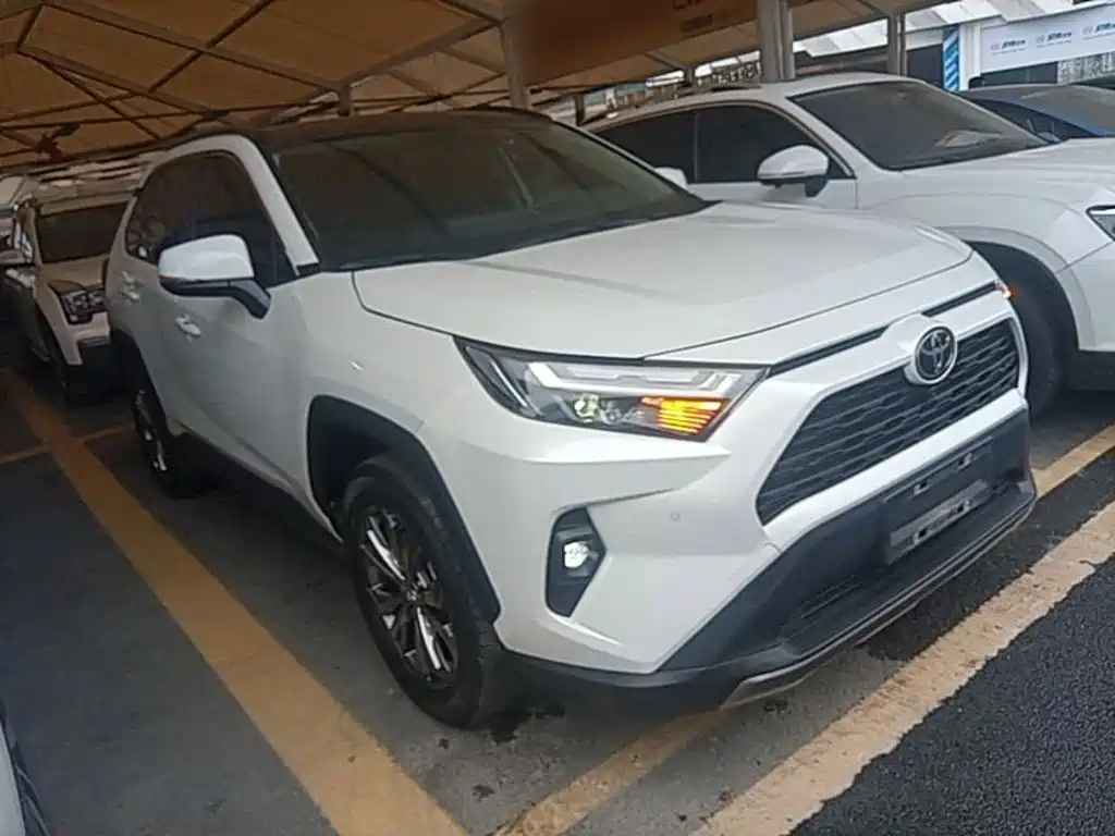 Toyota RAV4 Rongfang 2024 2023 2.0L CVT FWD Style Plus Edition