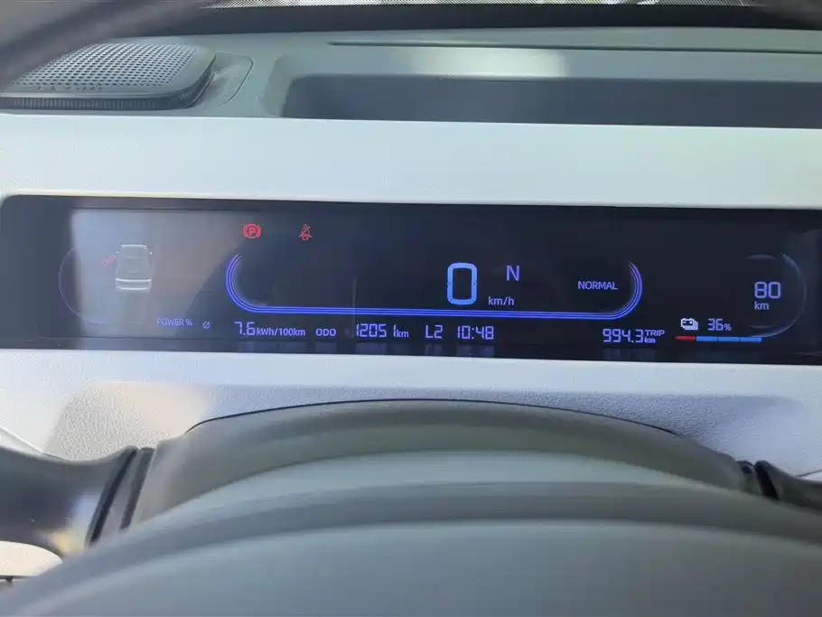 Geely Galaxy Panda 2024 Panda mini 200km Endurance Bear фото 14