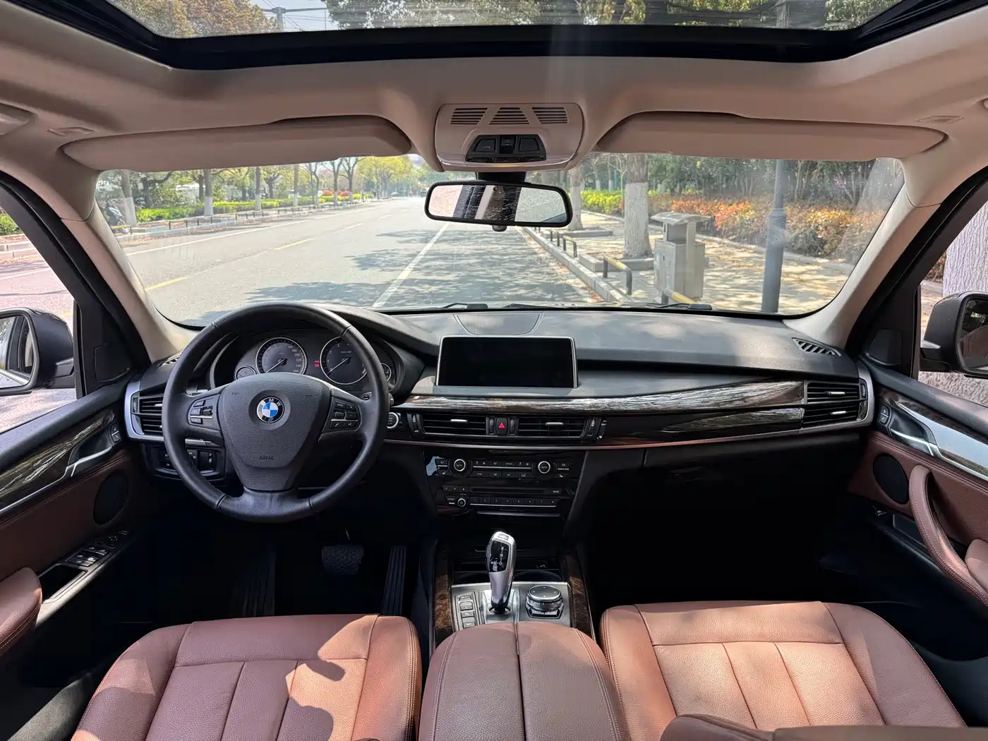 BMW X5 (Import) 2014 xDrive35i Leading фото 8