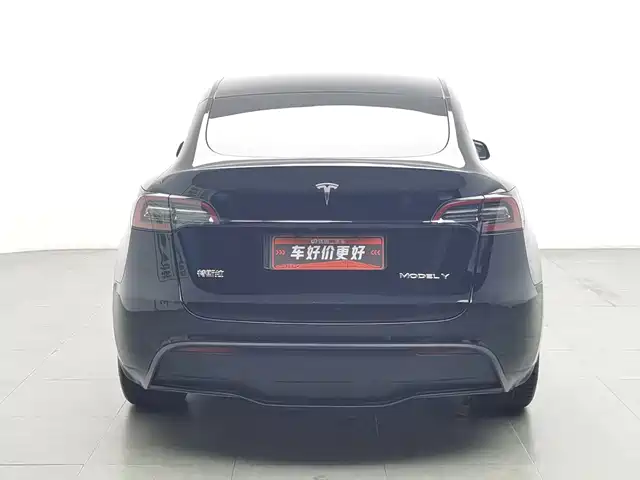 Tesla Model Y 2022 Rear-Wheel Drive Version — фото 4