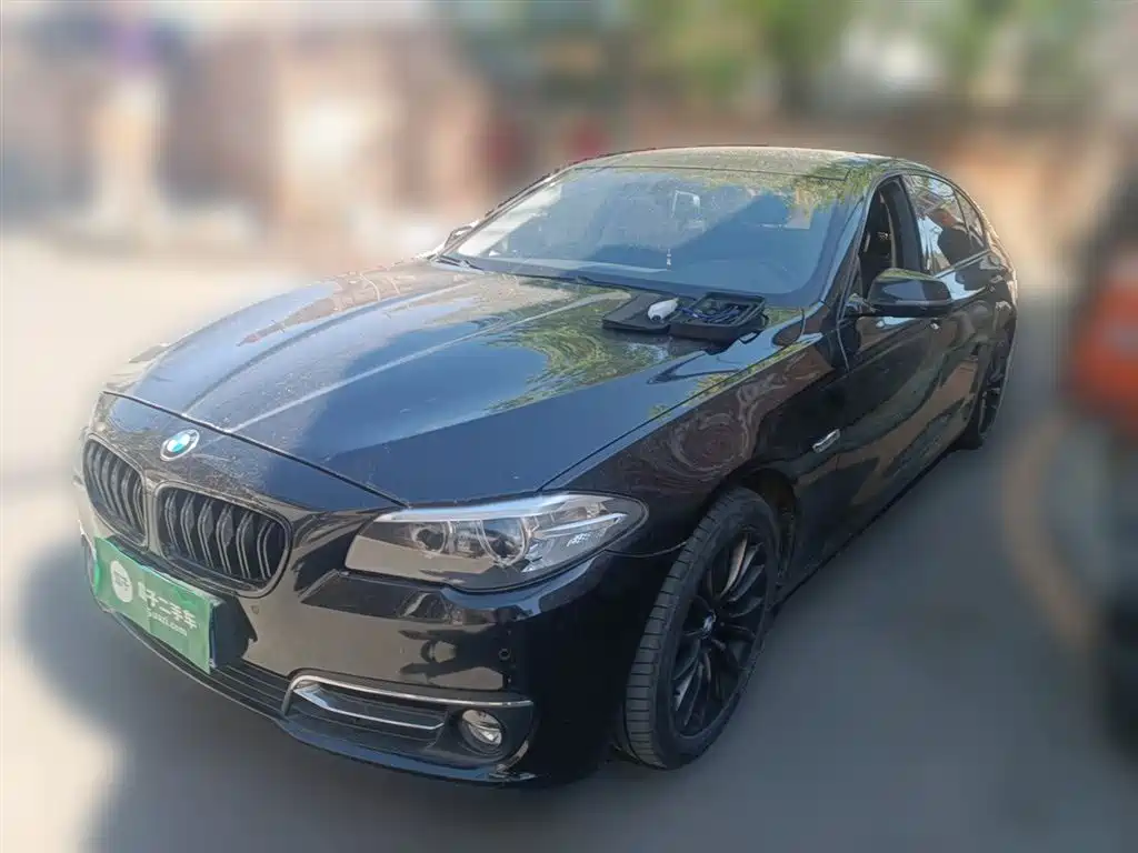 BMW 5 Series 2014 525Li Luxury Design Package фото 2