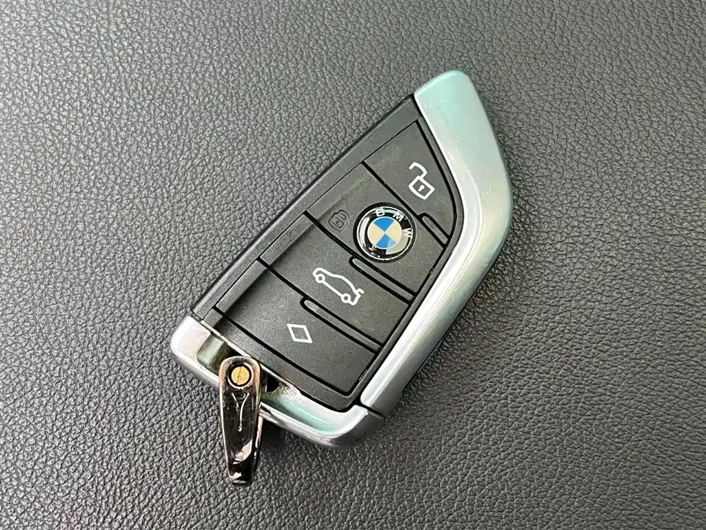 BMW 3 Series 2020 325Li M Sport Package фото 17