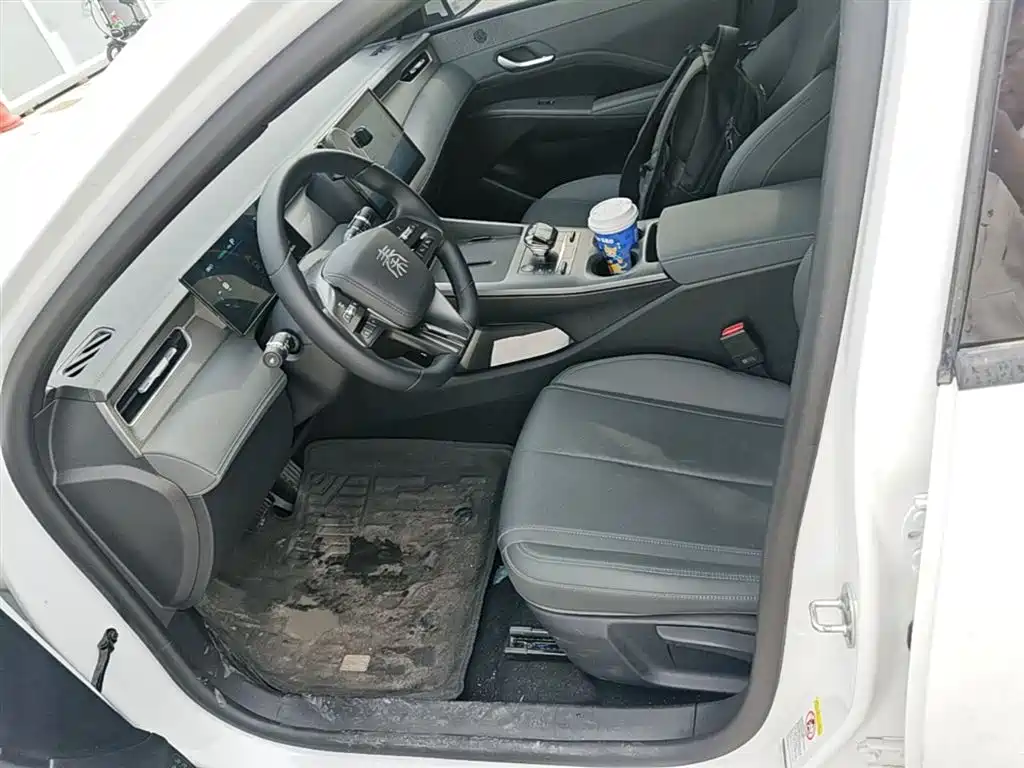 BYD Qin PLUS 2025 DM-i Smart Drive 55KM Leader фото 15