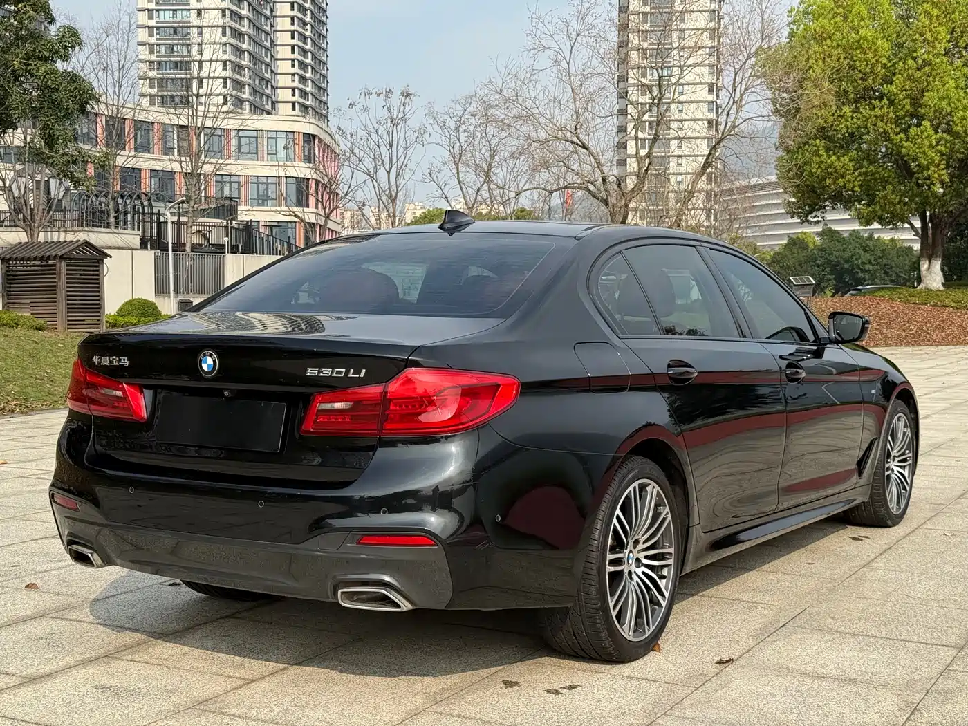 BMW 5 Series 2019 530Li Leading M Sport Package фото 2