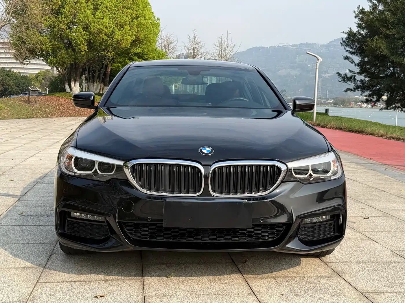 BMW 5 Series 2019 530Li Leading M Sport Package фото 5
