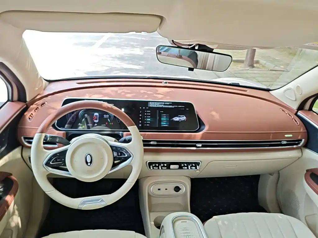 Ora Good Cat 2024 2023 401km Standard Range Luxury LFP
