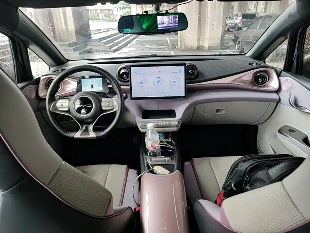 BYD Dolphin 2023 420km Freedom Edition фото 10
