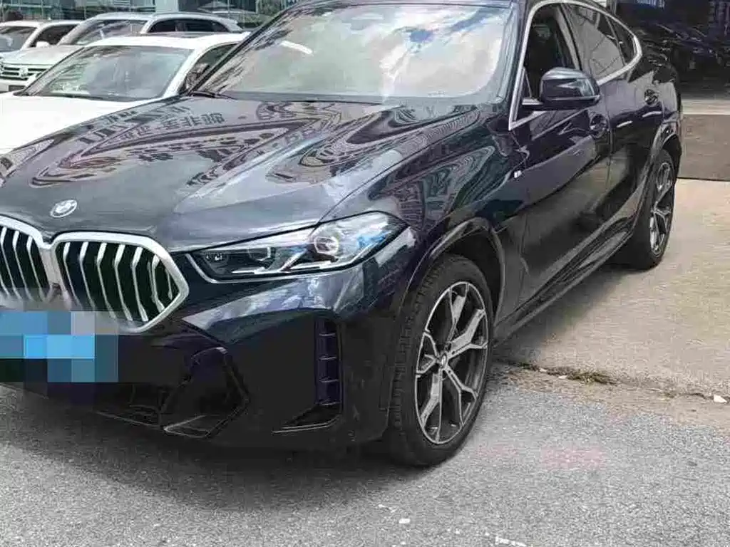 2024 BMW X6