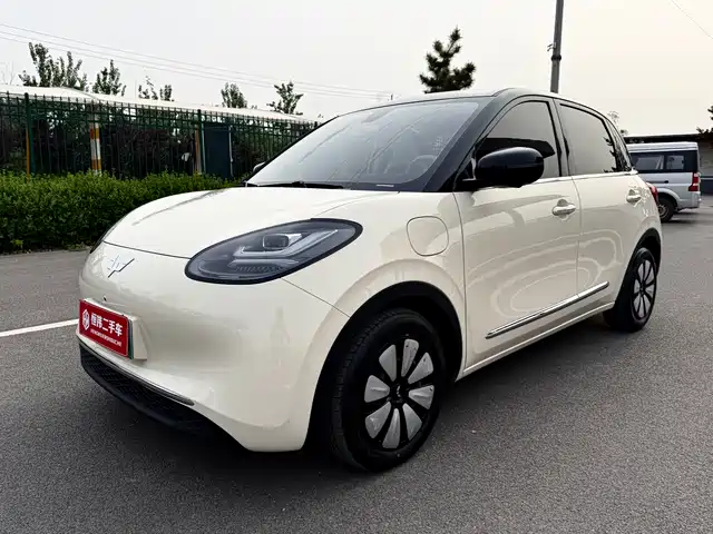 WULING WULING BINGGUO