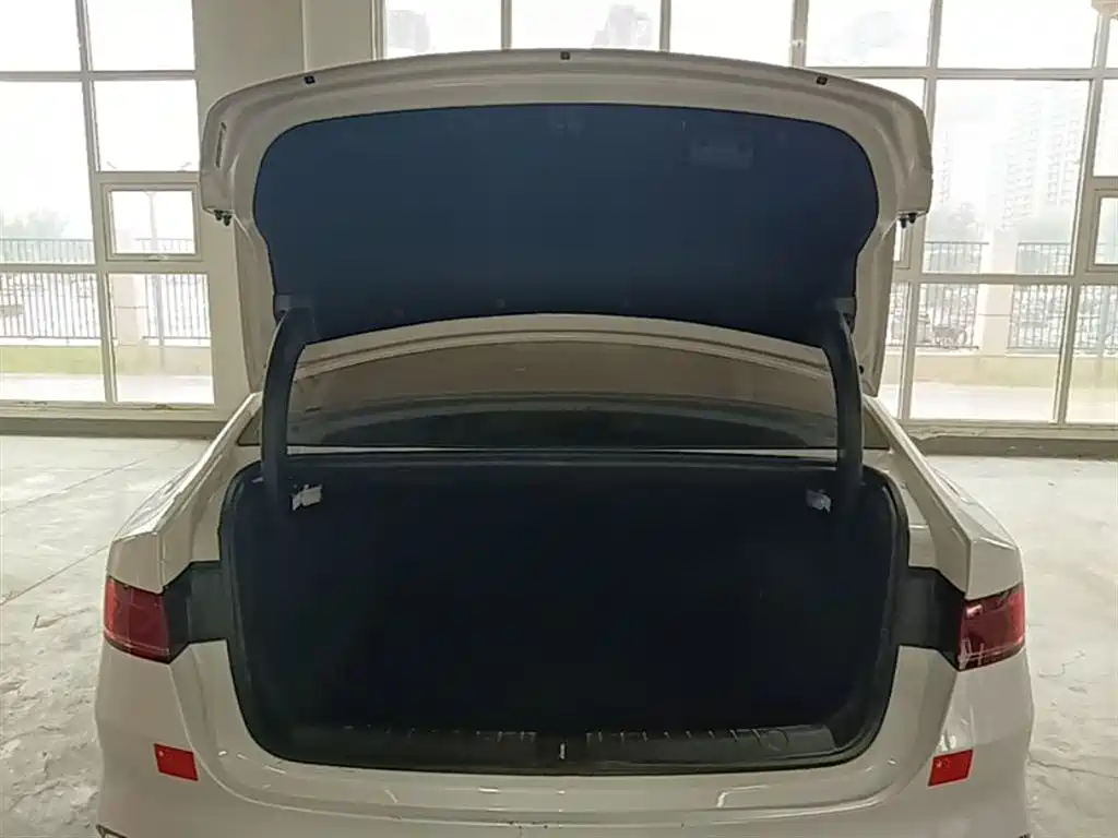 BYD Qin PLUS 2024 Glory Edition DM-i 55KM Leading фото 19
