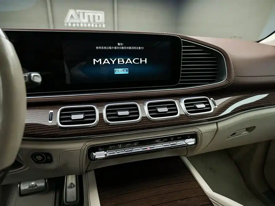 Mercedes-Benz Maybach GLS 2021 GLS 600 4MATIC Ritual Edition фото 12
