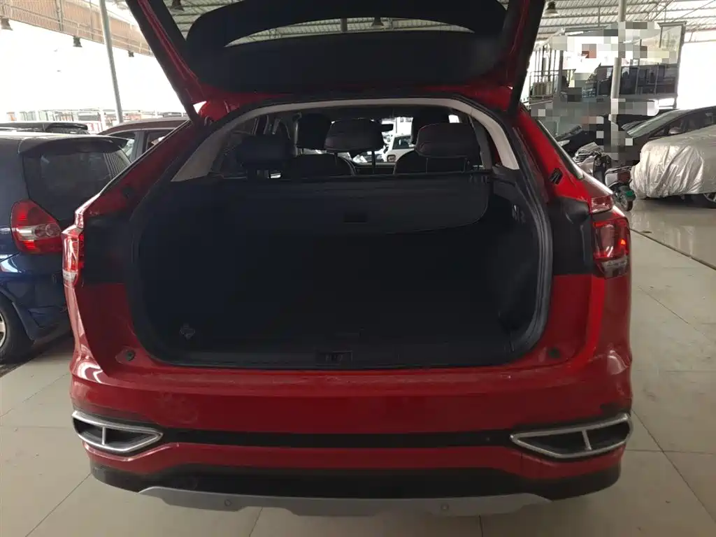 VOLKSWAGEN TANYUE X