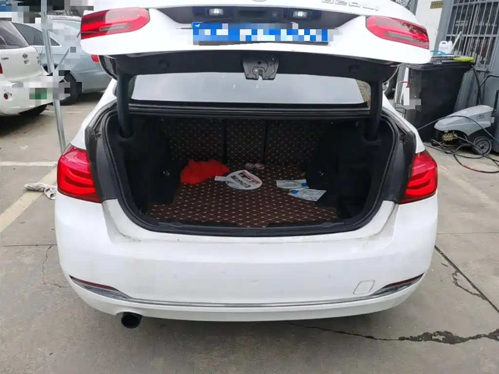 BMW 3 Series 2016 320Li Progressive фото 19
