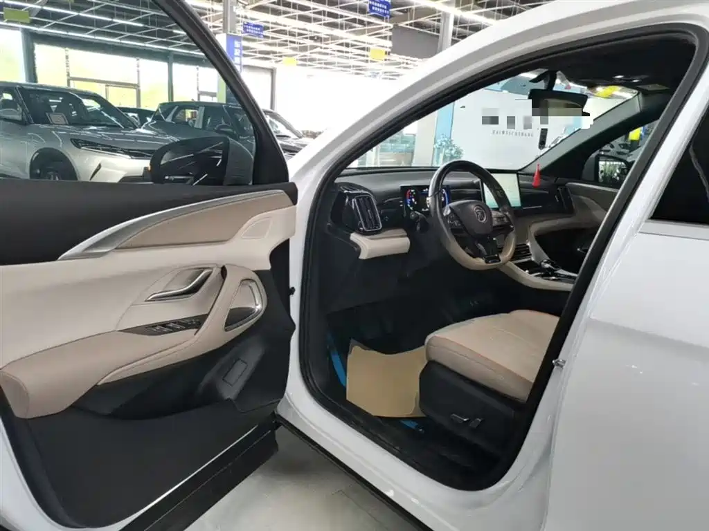 BYD Song Pro New Energy 2024 Glory Edition DM-i 71KM Pilot фото 16