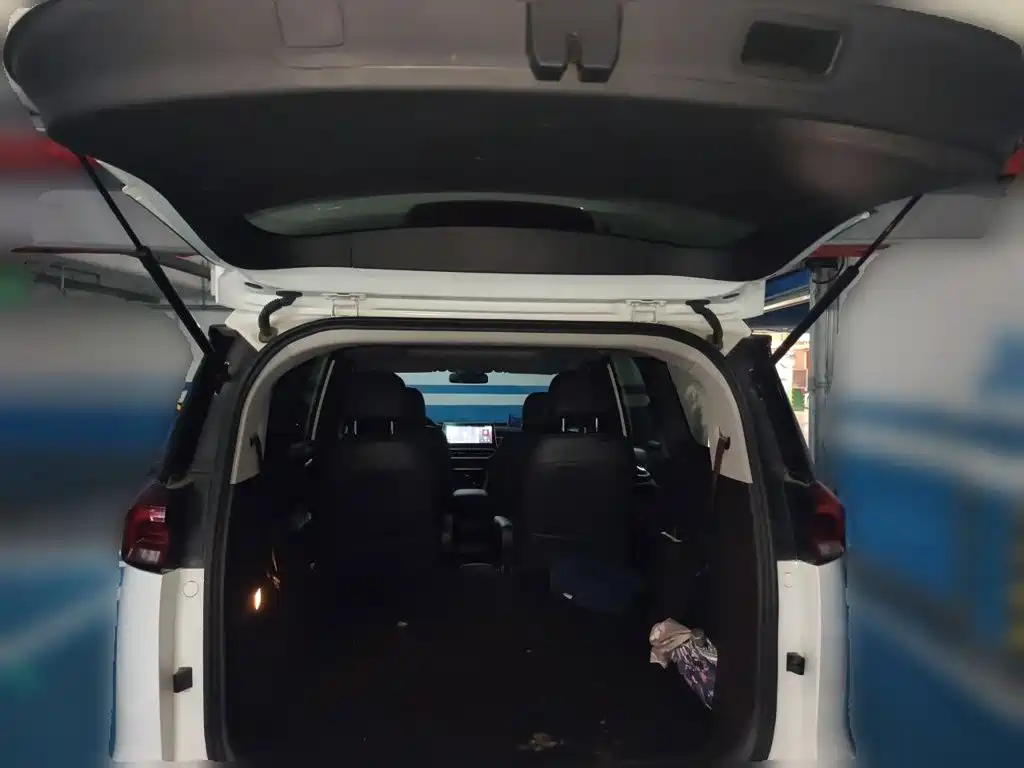 SAIC Maxus Maxus G50 2020 2020 1.5T Auto Luxury