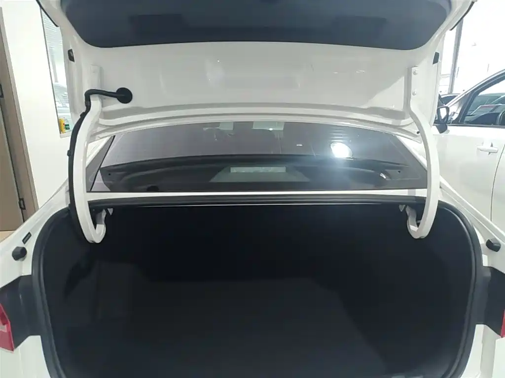 Volkswagen VW Lavida EV 2019 Premium Edition фото 19