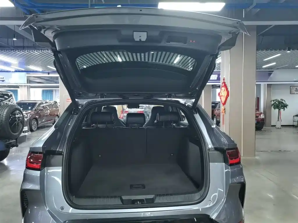 BYD Song PLUS PHEV 2023 Champion Edition DM-i 110KM Flagship фото 19