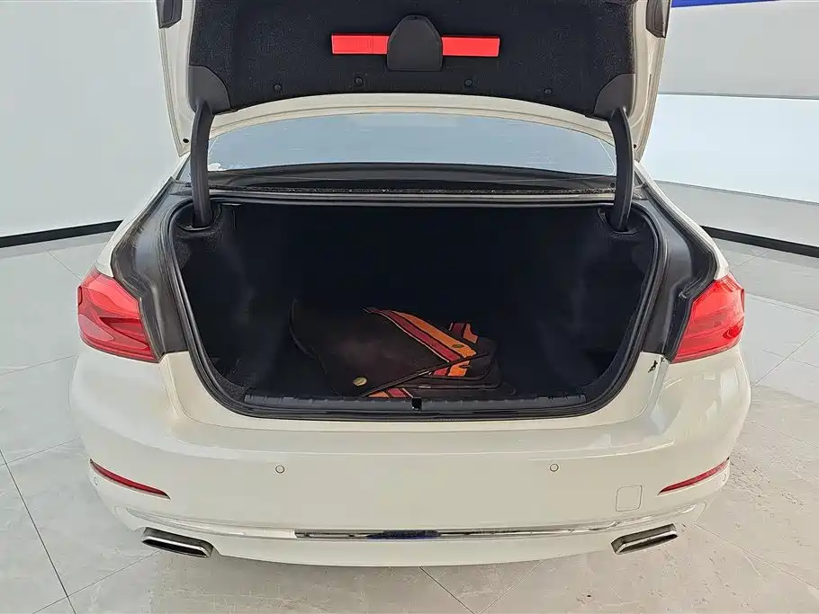 BMW 5 Series 2021 530Li Leading Luxury Package фото 4