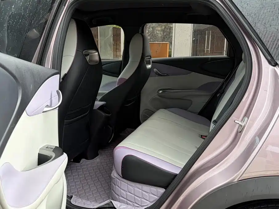 BYD Dolphin 2022 2021 401km Knight Edition