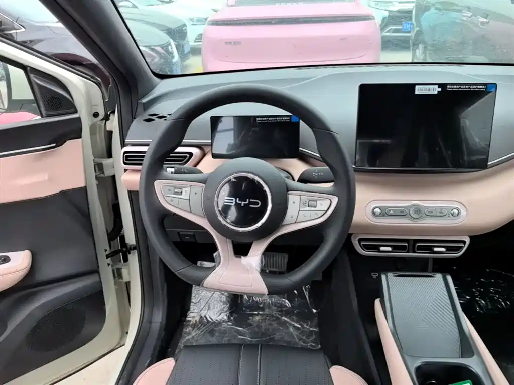 BYD Seagull 2025 Smart Drive Edition 305km Vitality Version фото 11