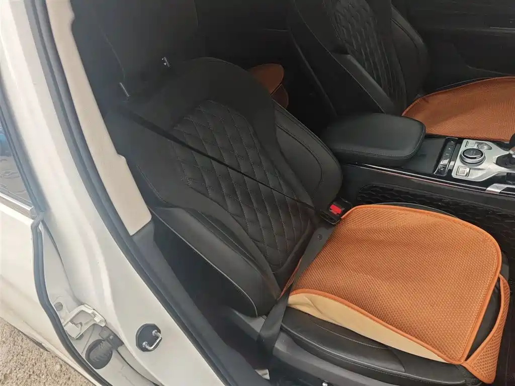 Hongqi HS5 2019 2.0T Smart Connect Enjoy Edition фото 20