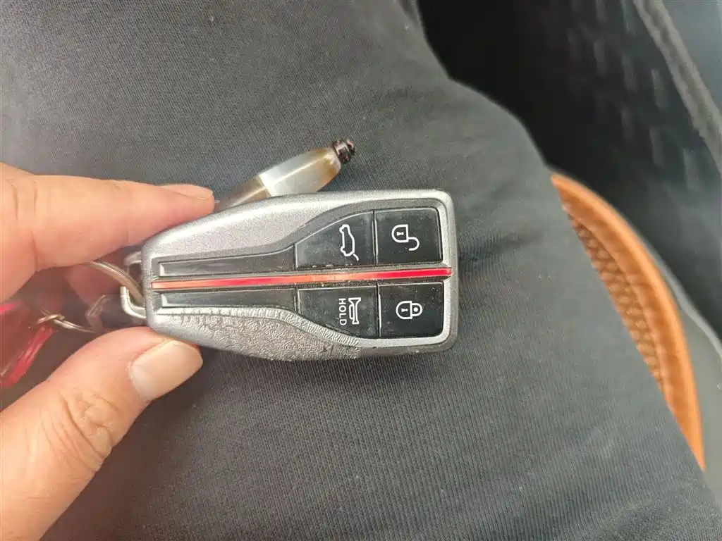 Hongqi HS5 2019 2.0T Smart Connect Enjoy Edition фото 17