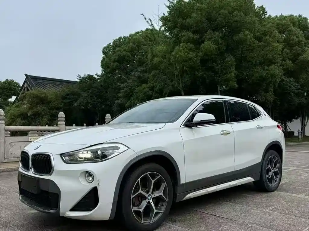 BMW X2 (Import) 2019 2019 sDrive20i M Off-Road Package China VI