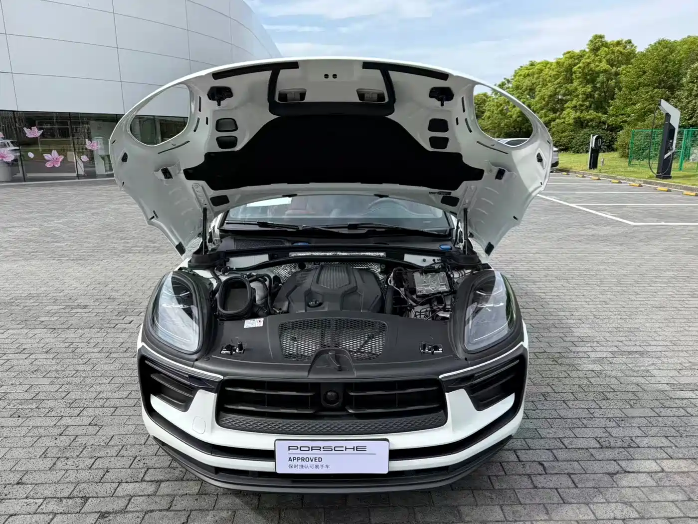 Porsche Macan 2024 Macan 2.0T фото 7