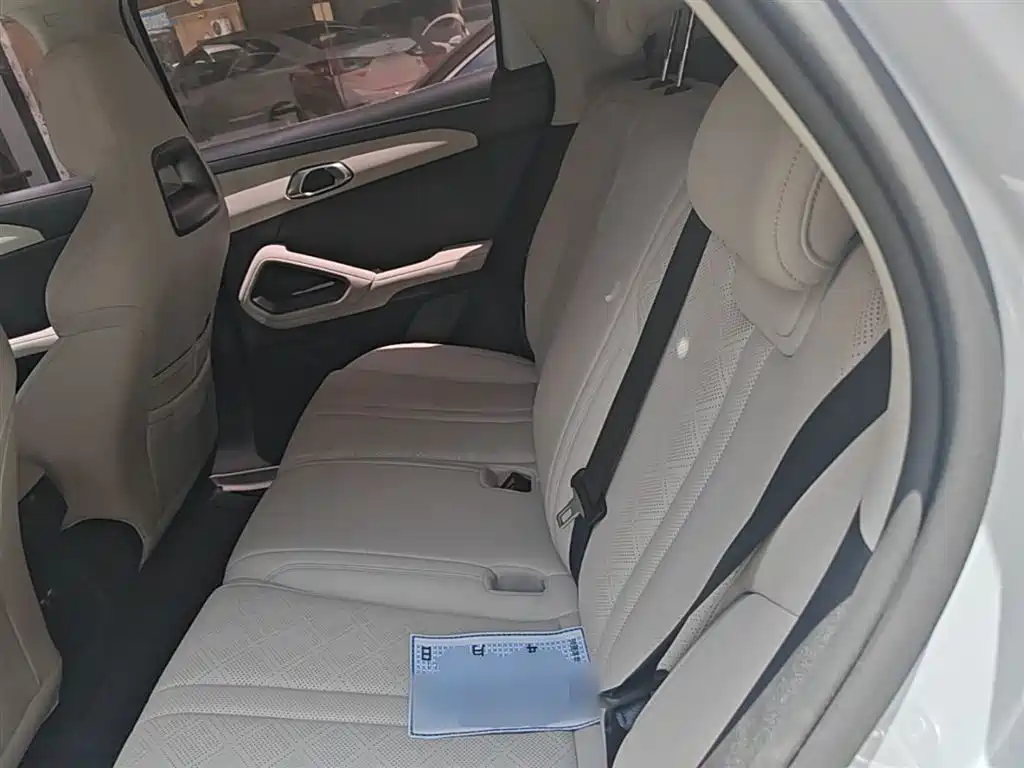 BYD Yuan UP 2024 401KM Leading Edition фото 17