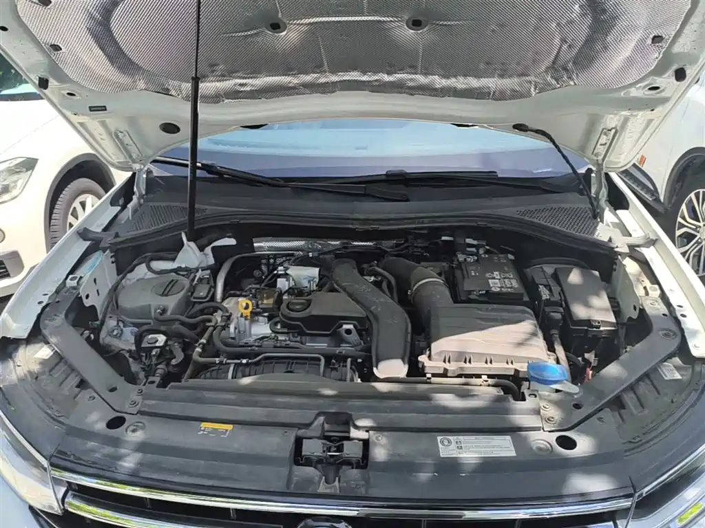 Volkswagen Tiguan L 2024 Outstanding 300TSI Auto 2WD Dragon Soaring Edition фото 20