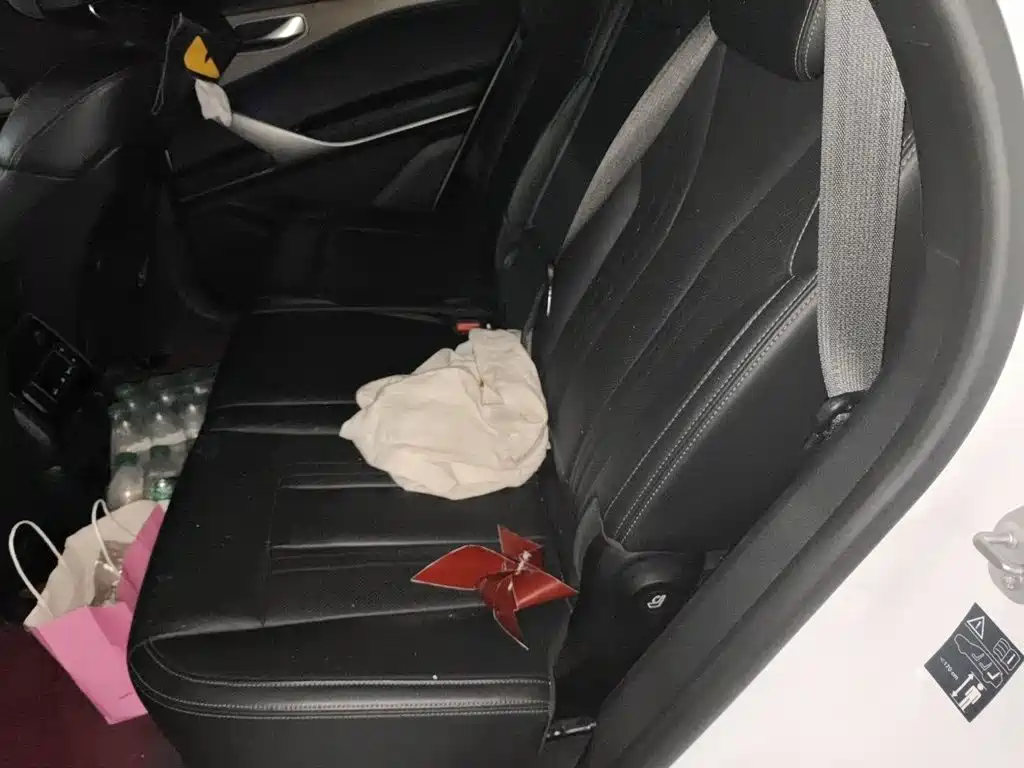 Denza X 2021 2020 Model PHEV Flagship Edition