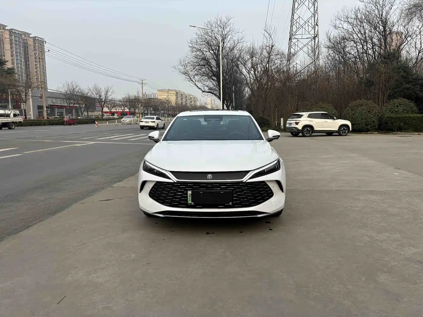 BYD QIN L