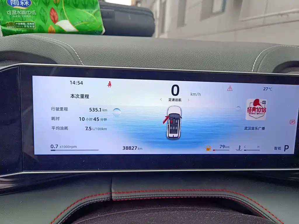 Geely Boyue 2025 2024 1.5TD Soaring Dragon Edition