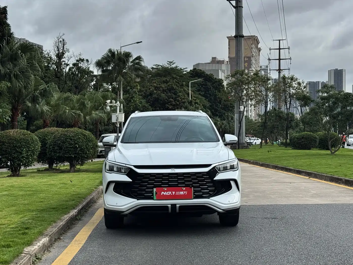 BYD Song Pro New Energy 2023 Champion Edition DM-i 71KM Leading Type фото 3