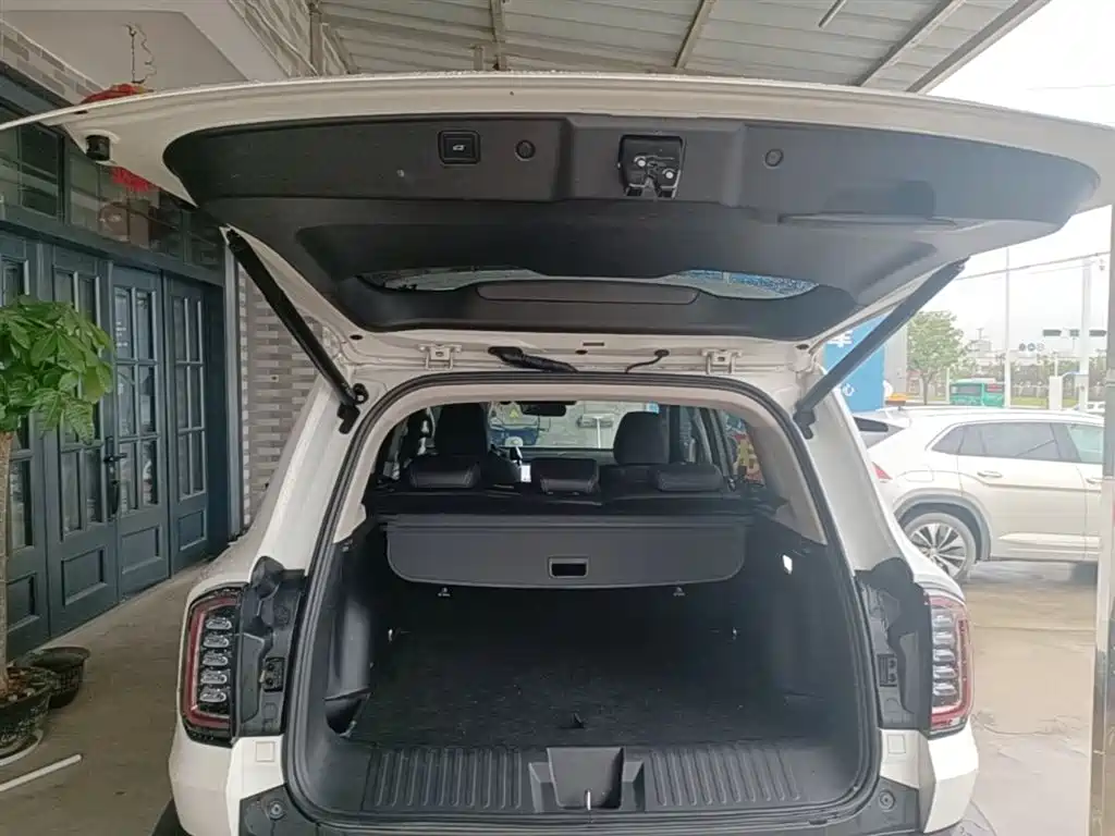 Haval Big Dog 2021 1.5T DCT 2WD Border Collie Edition фото 19