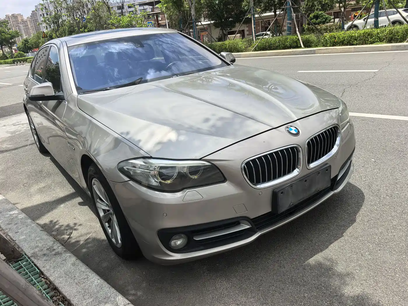 BMW 5 Series 2014 520Li Elegance фото 3
