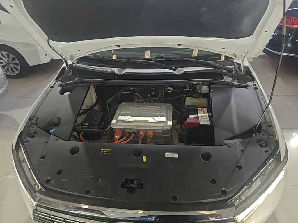BYD Qin New Energy 2020 2019 Long Range Edition Premium